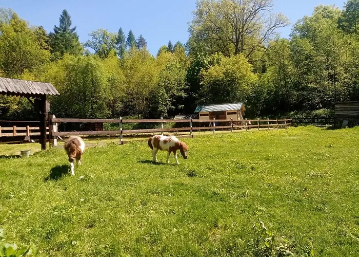 Gospodarstwo Agroturystyczne Na Gorce